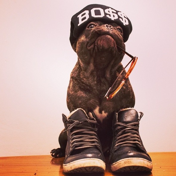 5b219b9848d611e389aa0e632b3228b2_8