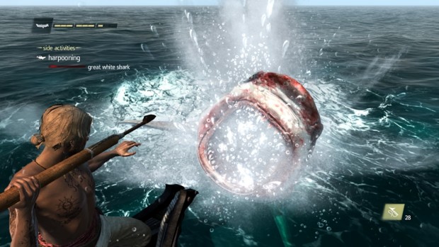 Assassins-Creed-IV-Black-Flag-23 (Copy)