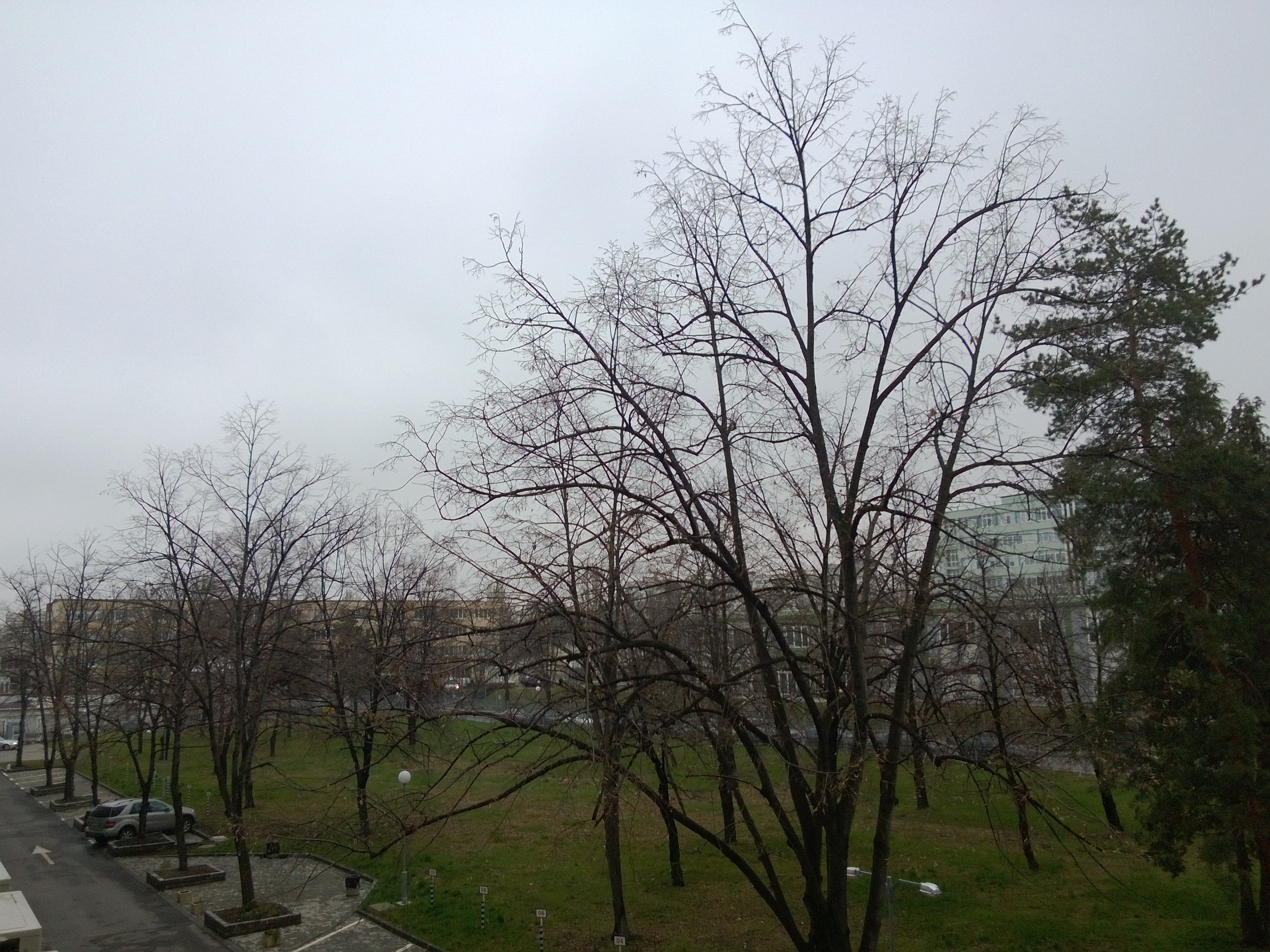 WP_20130328_006666663