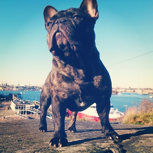 b754ff263e3c11e3ac9322000ab4805d_8