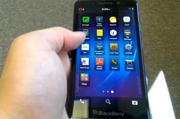 blackberry-z301