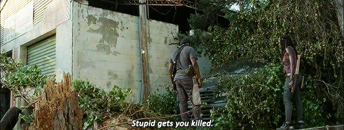 the walking dead gif3