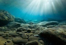 VR се представя перфектно под вода