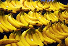 Ако не направим нещо, до 10 години бананите могат да изчезнат