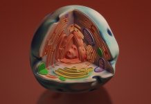 Нов трик кара раковите клетки да се самоубиват