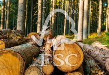 Горски сертификации