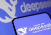 deepseek2