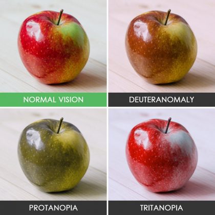 different-types-color-blindness-photos-1