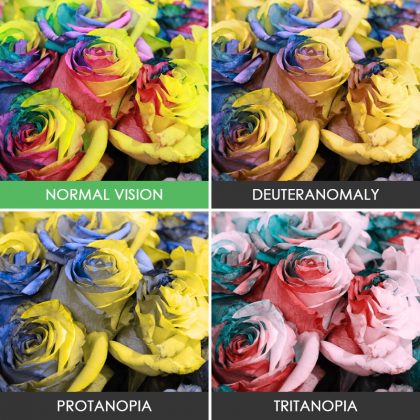 different-types-color-blindness-photos-4