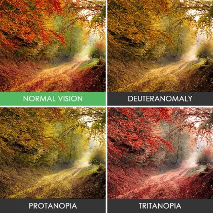 different-types-color-blindness-photos