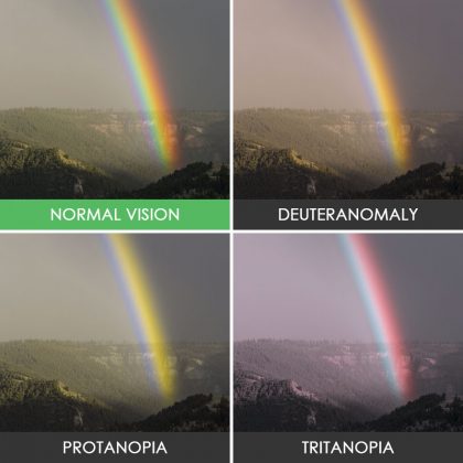 different-types-color-blindness-photos-6
