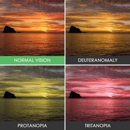 different-types-color-blindness-photos-7