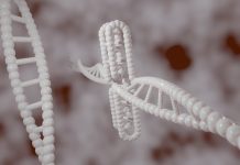 CRISPR свързва всеки ген с неговата функция