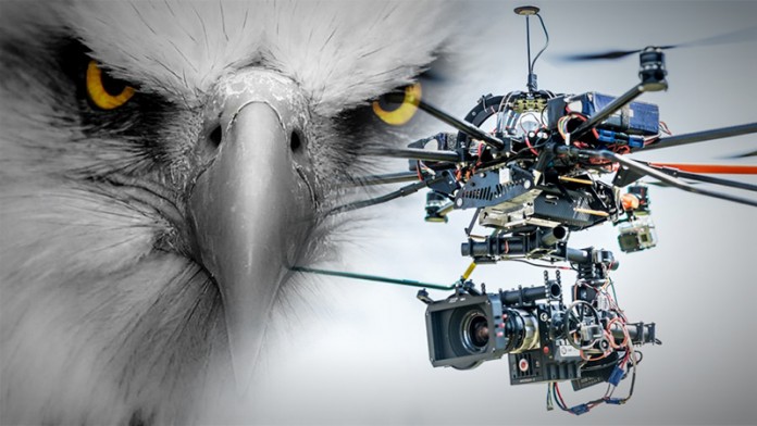 eagle-vs-dron