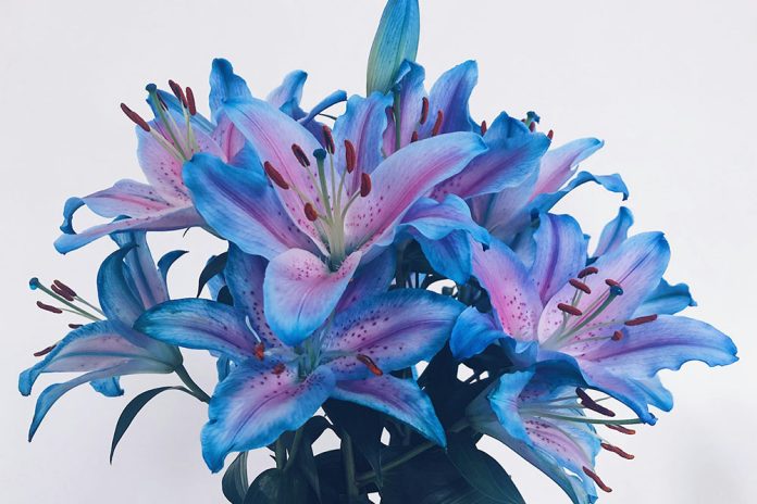 Необичайни цветя за Осми март