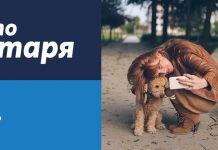 Теленор предлага до 200 лв. отстъпка за избрани устройства
