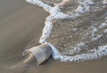 Опасни вируси оцеляват в сладка вода
