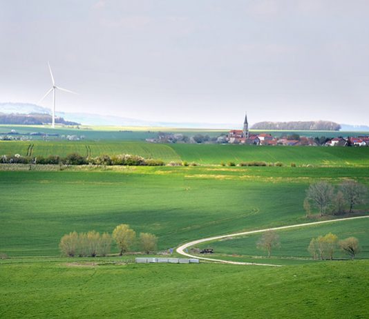 зелено поле