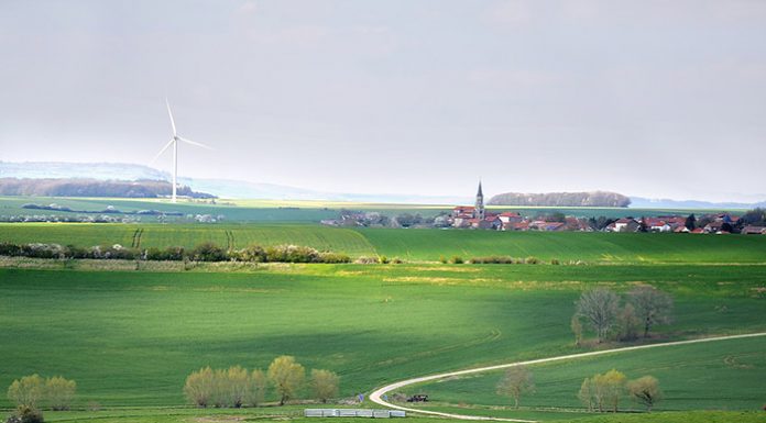 зелено поле